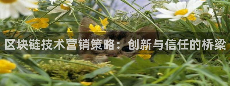 金年会下载官方