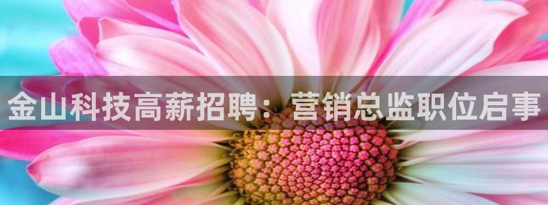 金年会官方app下载官网