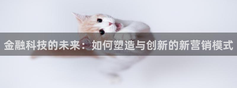 金年会网站稳不稳