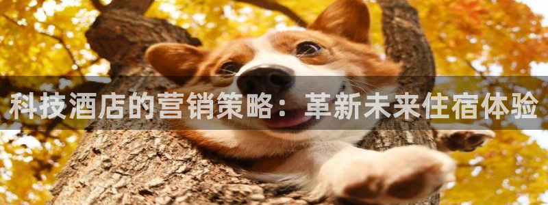 金年会App官方下载