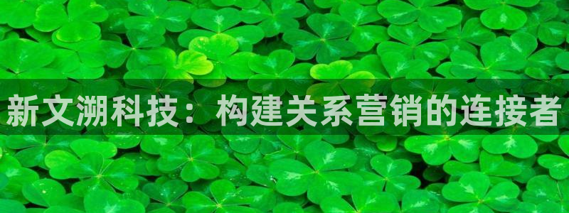 金年会体育app官网86