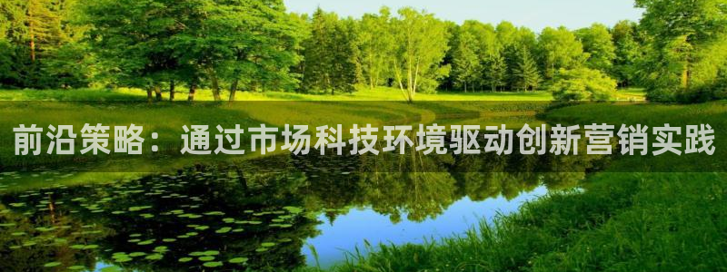 金年会官方入口2023