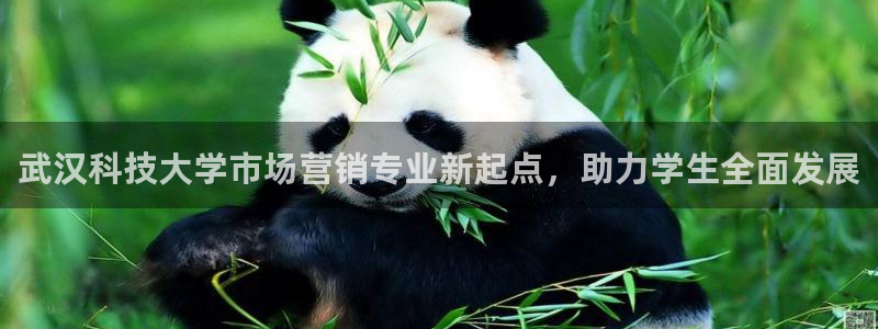 金年会体育app最新官网下载苹果
