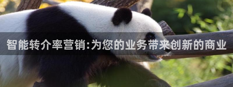 金年会下载官方