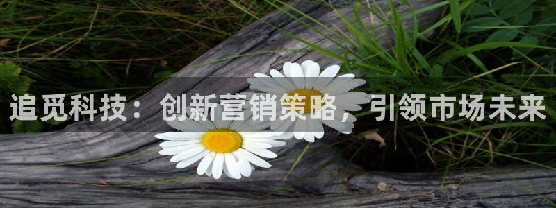 金年会体育app官网下载