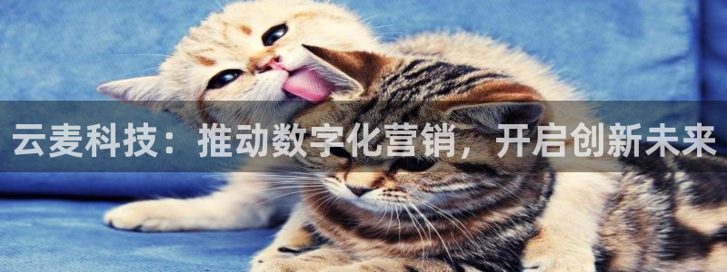 金年会app官方网站