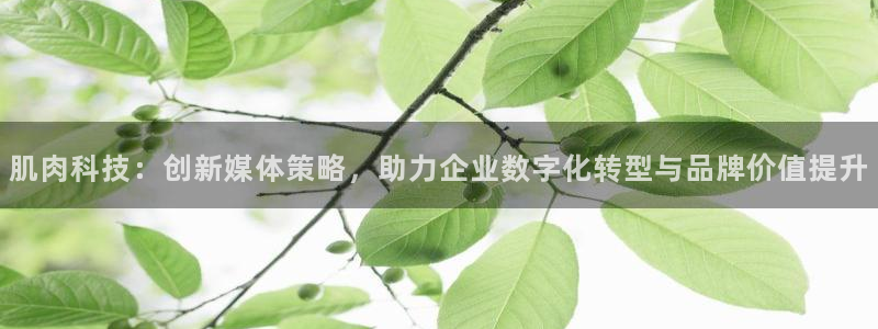 金年会网站入口登录