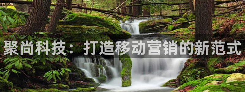 金年会体育官网入口