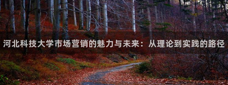 金年会手机版下载