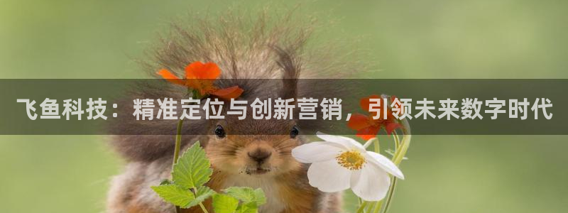 金年会平台怎么样
