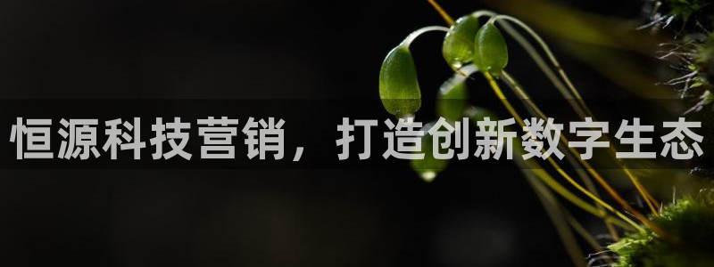 金年会金字招牌信誉至上是黑平台吗