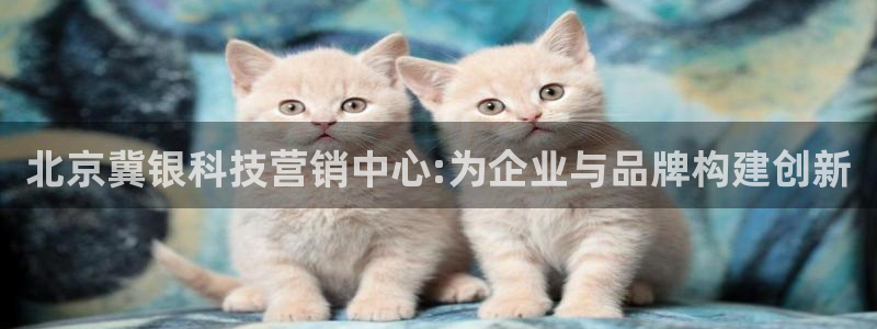 金年会赌博