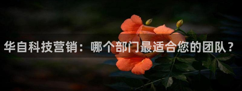 金年会体育综合App