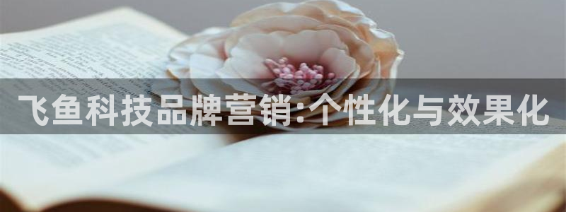 金年会金字招牌登录入口评测