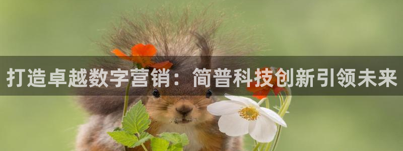 金年会pg电子官网
