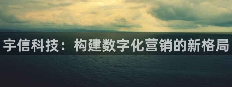 金年会体育平台注册