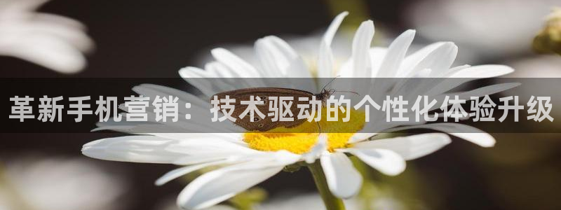 金年会体育官方app下载安装