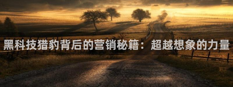 金年会官方体育