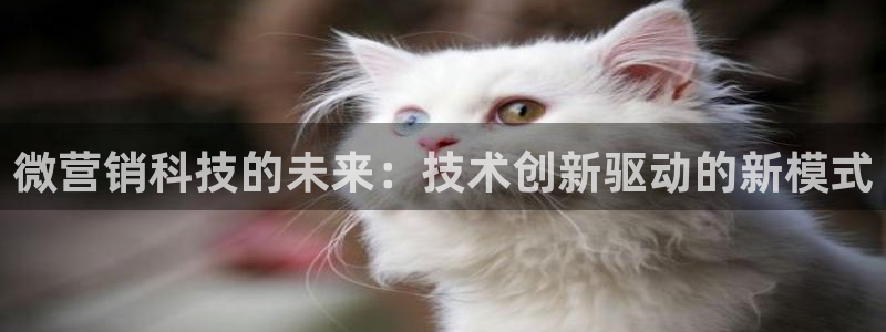 金年会金字招牌信誉至上