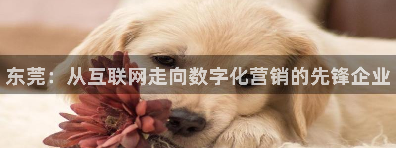 金年会网址导航