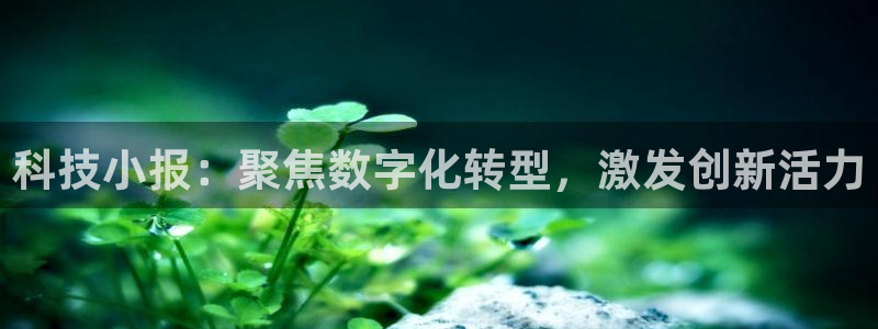 金年会网站被拒绝出款