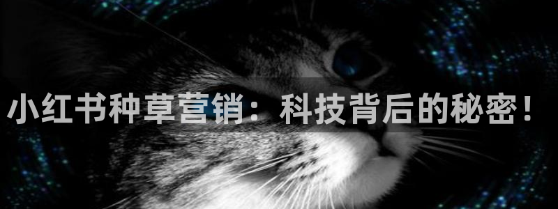 金年会官方在线登录网址是什么意思