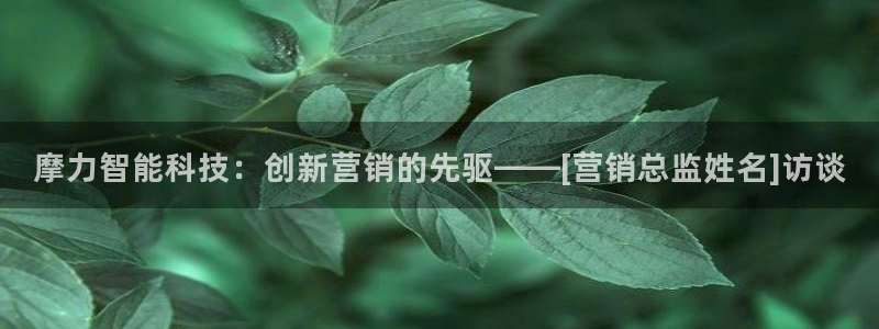 金年会官方网站入口登录