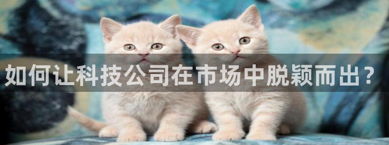 金年会官方网站入口登录手机版下载安装