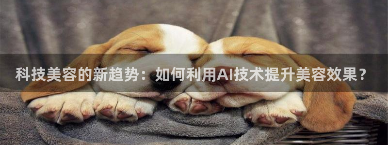 金年会官方登录入口