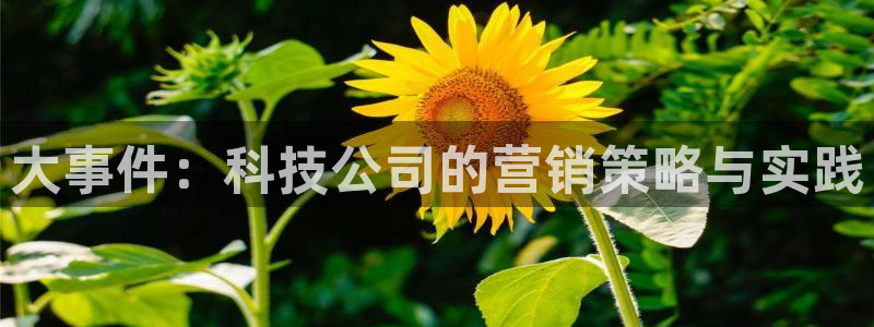 金年会入口登录