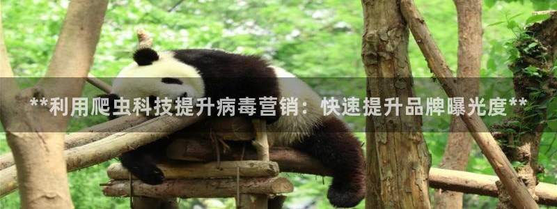 金年会官方网站登录网址是什么