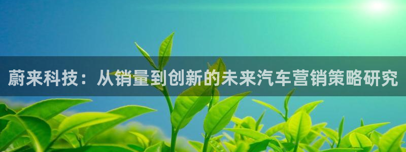 金年会官方入口app