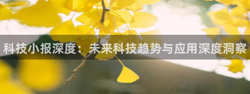 金年会信誉至上是什么意思