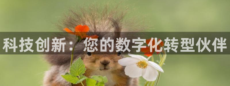 金年会手机版·(中国)官方网站-app下载