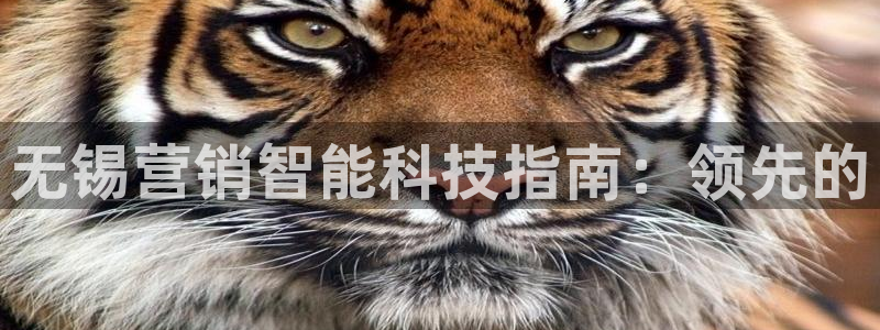 金年会会员登录页面在哪