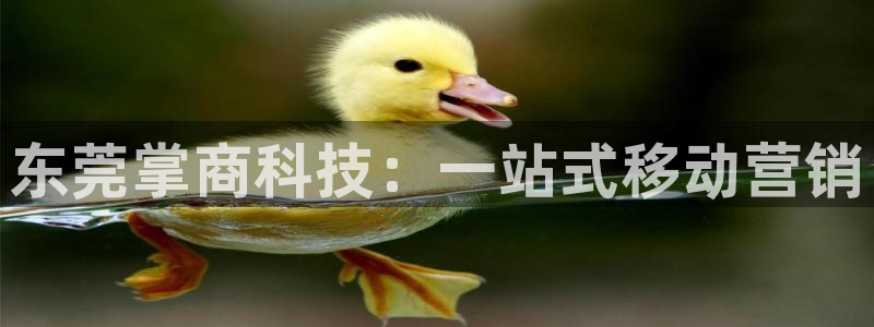 金年会vip网页版在线登录入口下载