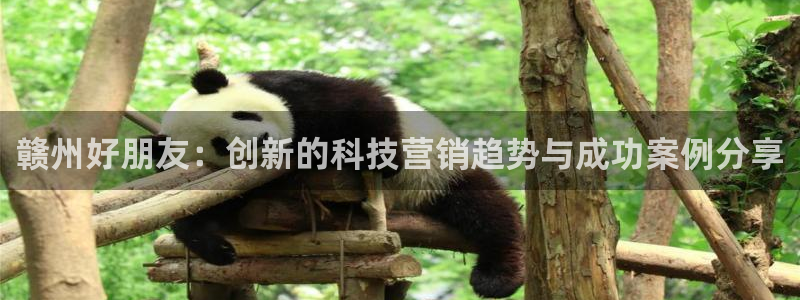 金年会体育买球app下载官网