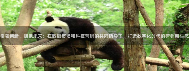 金年会官方网址登录入口