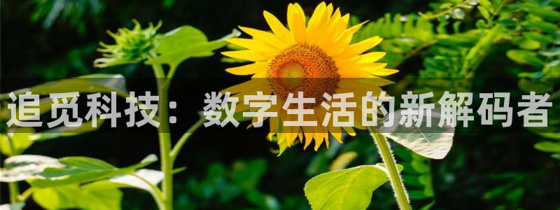 金年会体育平台怎么样