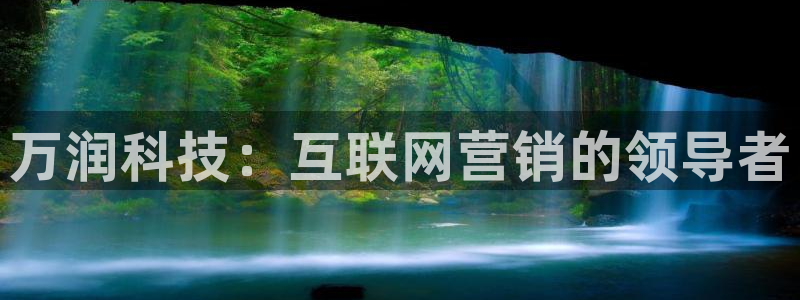 金年会体育网址登录