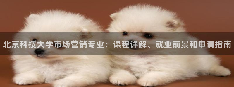 金年会官方app下载最新版