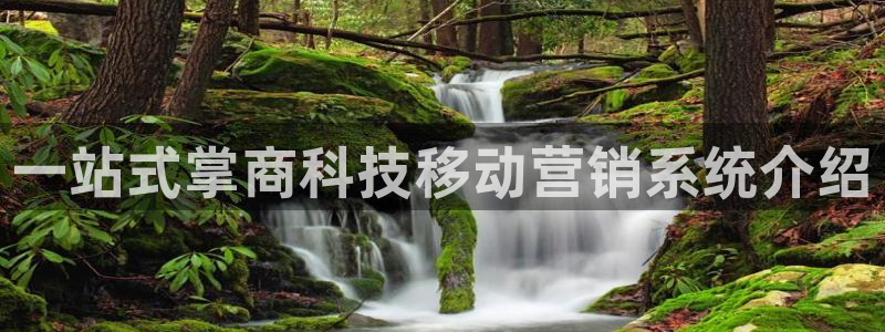 金年会官方在线入口网